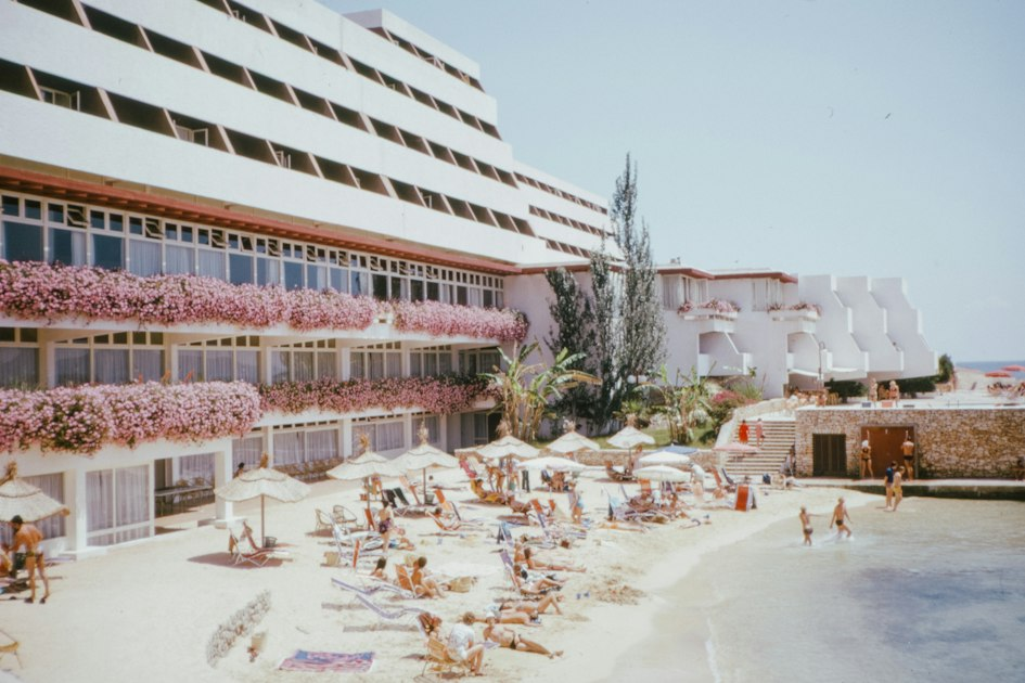 Guest Reviews and Experiences